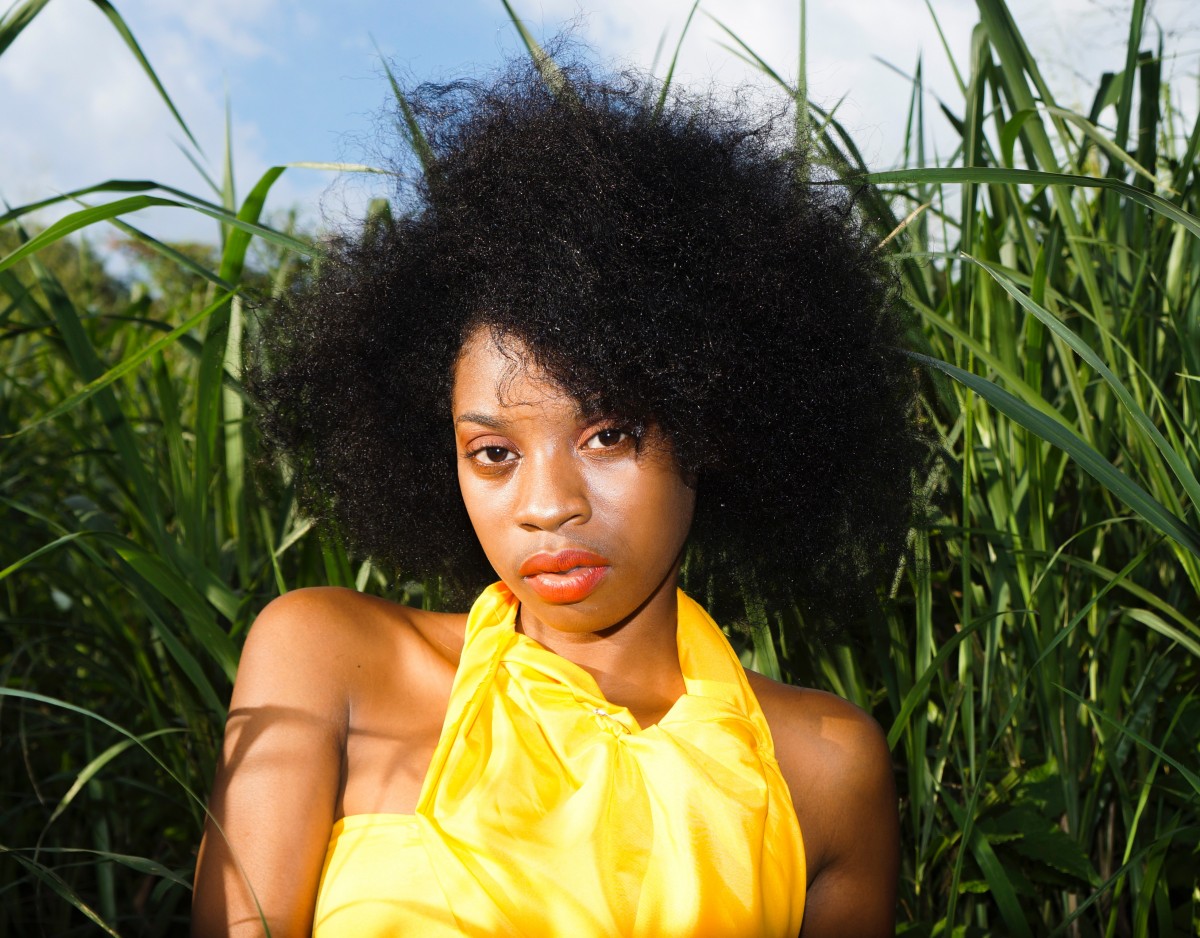 cheveux afros